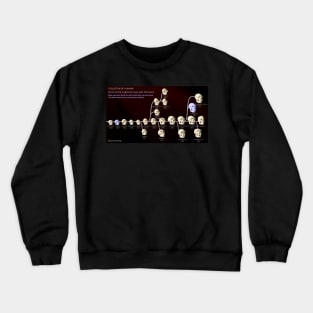 Human Evolution Crewneck Sweatshirt